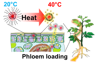 Nanoparticles Could Deliver Heat Stress Relief to Plants