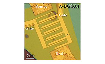 Researchers Demonstrate Ambient Coherent Amplification of THz Radiation in Graphene