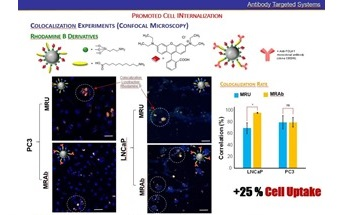 Researchers Develop Nanomedicine to Treat Prostate Cancer More Efficiently