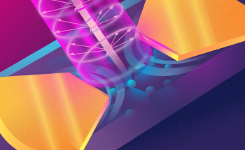 Graphene Detector Reveals THz Light’s Polarization