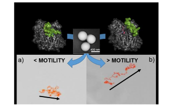 Nanomotors Offer a Promising Solution for Biomedical and Environmental Applications