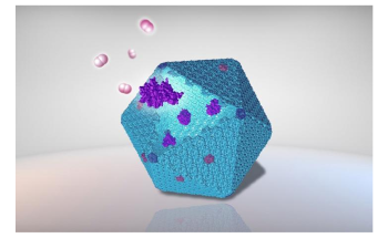 Bacterial Protein Cages Used as Nanoscale Bioreactors to Produce Hydrogen