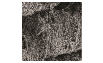 Nanocellulose 3D Objects Intricately Designed Using Bacteria