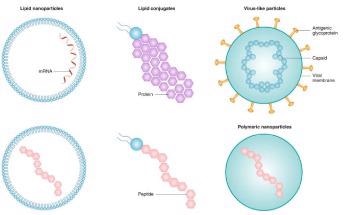 How Nanotechnology Helped Create mRNA COVID-19 Vaccines