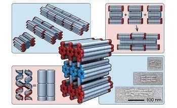 New Design Theory to Control Length of Self-Assembling Nanobots