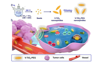 Nanospindles of V-TiO2 Enhance Effect of Ultrasound for Tumor Destruction