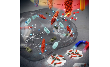 Controlling Nanomaterial Surface Texture to Kill Drug-Resistant Bacteria