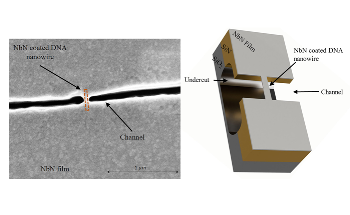 Exploiting DNA Origami to Build Superconducting Nanoarchitectures