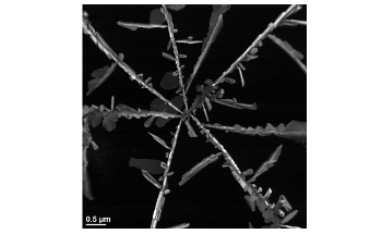 Silver Embedded Plastic Packaging can Form Harmful Nanoparticles in Foods