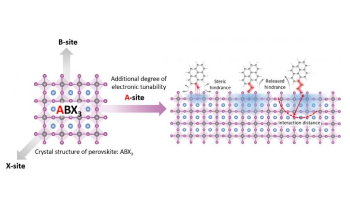 Unused Molecular Component of Perovskites Could Add to Their Electronic Property