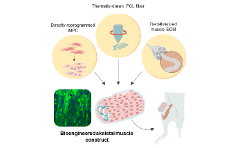Direct Cell Reprogramming Technology Shows Promise for Regenerative Medicine