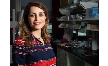New Nano-Carrier Tested for Potential Treatment of Glioblastomas