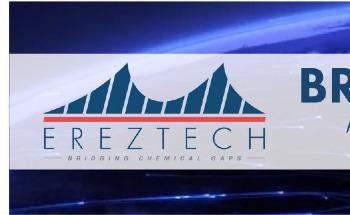 Meet Our 2020 BridgeForward™ Award Winners