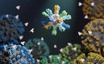 New Experimental Nanoparticle Flu Vaccine Spurs Broad Immunity in Animal Trials