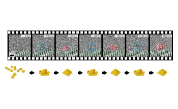 Study Shows How Nanocrystals Self-Organize into Stable State