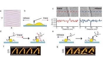New High Speed Atomic Force Microscopy for Visualizing Biological Processes