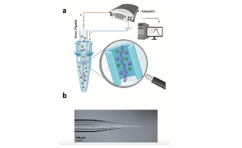 New Nanopore Technique Captures Cell-Free DNA from Biological Samples