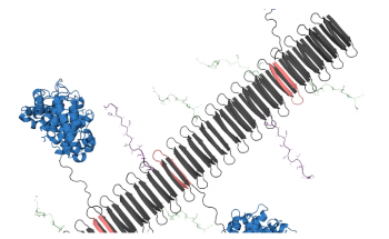 Self-Assembling Nanomaterial can Reduce Damage Due to Inflammatory Diseases