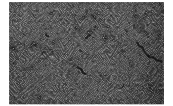 Tiny, Flexible Nanoribbons Could Move Graphene Toward Telecommunication Applications