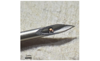 Wireless, Miniaturized Implantable Devices use Ultrasound to Track Body Processes