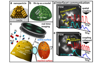 Chemical Reactions on Nanoparticle Surface are More Complex than Thought