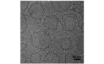 Preclinical Trials Demonstrate the Efficacy of Nanoparticle-Based Vaccine
