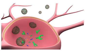 Polymeric Nanoparticles Deliver Dopamine to Parkinson’s-Affected Rat Brain