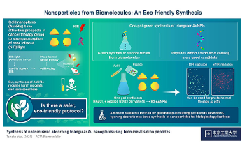 Eco-Friendly Gold Nanoparticles for Cancer Treatment