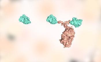 NMR Techniques Help Determine the Structure of Nb23 Nanobody