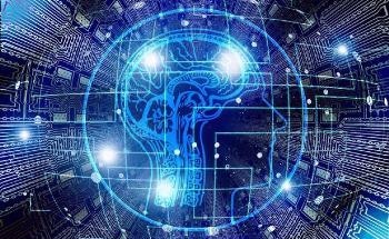 Nanomaterials Cross the Brain Side of the Blood-Brain Barrier Model