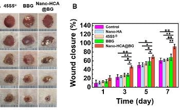 Nano-Scale Borate Bioactive Glass Reduces Biological Toxicity of Borate Bioglass