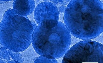 Research Paves the Way Toward Creating Nano-Sensors for Cells