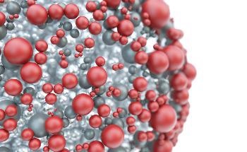Scientists Develop Llama ‘Nanobodies’ Capable of Chasing Out Human Cytomegalovirus