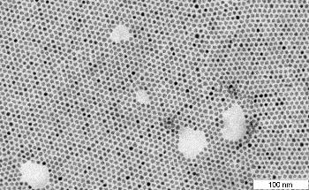 The New Study Demonstrating the Self-Organizing Properties of Lead Sulfide Particles
