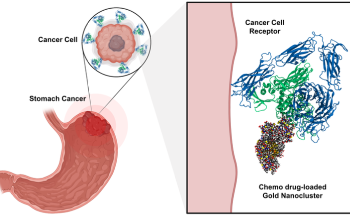 Gold Nanoclusters-Based Drug Delivery System for Targeted Gastric Cancer Therapy