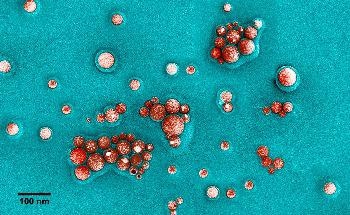 Novel Nanobiotechnology Shows Remarkable Ability to Fight Fungal Infections