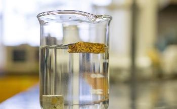 Tiny 'Nanojars' Capture Carbonate and Certain Toxic Anions