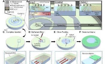 New Float Assembly Technique for Fabricating Skin Electronics Nanomembrane