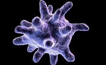 Study Analyzes Interaction Between Graphdiyne Oxide and Intracellular Proteins