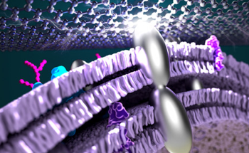 Silver Nanoparticles Enhance Efficiency of Microbial-Based Fuel Cells