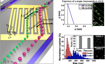 SUTD’s Acousto-Electric Sorting Technology Offers Solution for Segmenting Extracellular Vesicles
