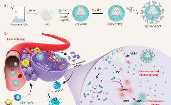 Introduction of Nanobomb into Tumor Could Inhibit Growth of Primary Tumors