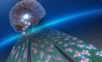 High-Density Nanofibers Set the Stage for Novel Therapeutic Solutions for Brain Cancer