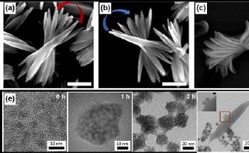 Researchers Observe Chiroptical Activity from Nanomaterials