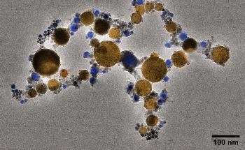 New Ferritin-Based Nanomedicine for Targeted Delivery of Drugs Against Leukemia