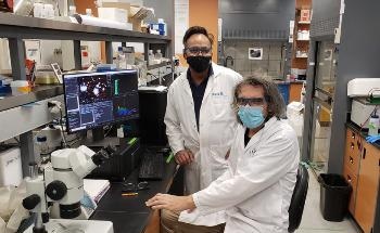 Nanoparticles Coated with Polymers can Better Penetrate Blood-Brain Barrier