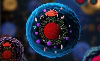 Novel Imaging Technique Takes High Resolution 3D Images of Cells