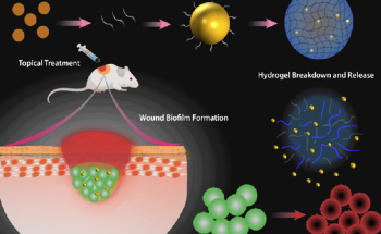 Silver Nanoparticles with Antibiofilm Activity to Tackle Mature Biofilm Wound Infections