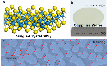 New Method Could Help Switch Silicon with 2D Materials in Semiconducting Technology