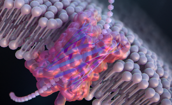De Novo-Designed Nanopore Used for the First Time to Detect DNA, Proteins